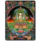 "Buddha View" T-Shirt